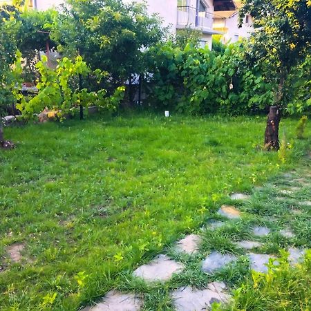Alpin Guest House Sapareva Banya Dış mekan fotoğraf