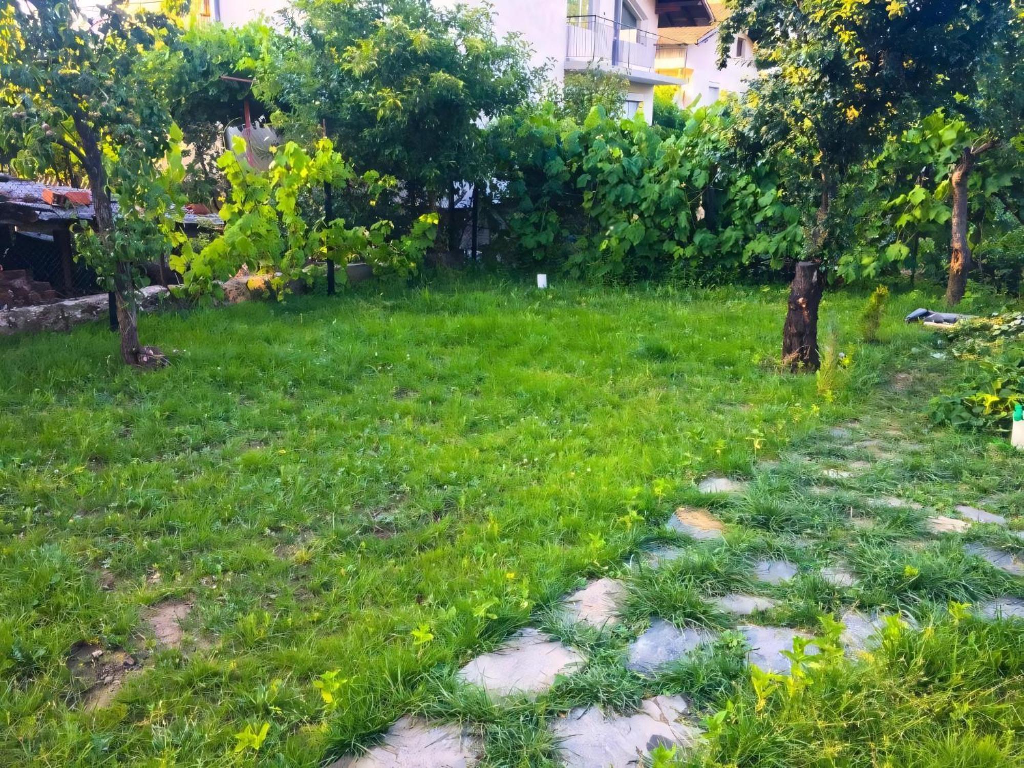 Alpin Guest House Sapareva Banya Dış mekan fotoğraf